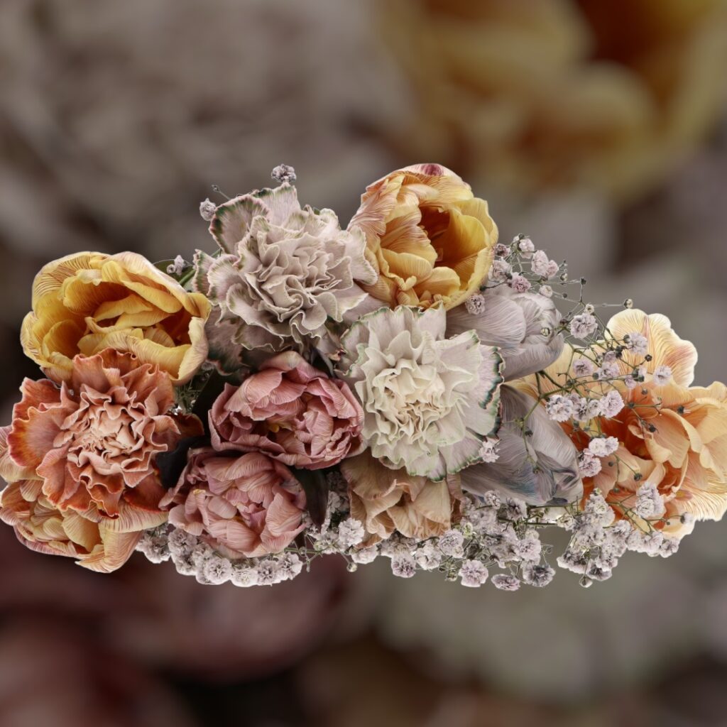 VIP roses | Growing the Most Beautiful Cutroses
